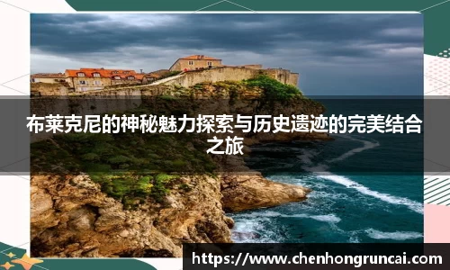 布莱克尼的神秘魅力探索与历史遗迹的完美结合之旅